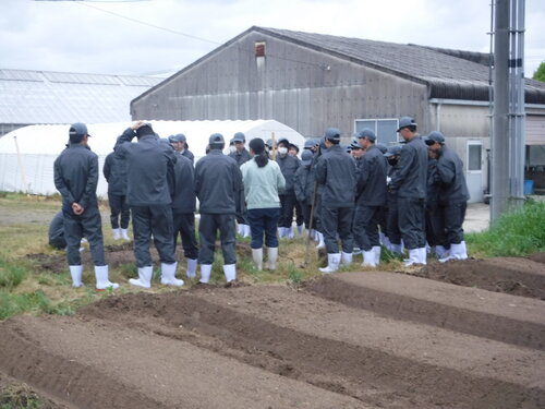 DSCF5528.JPG