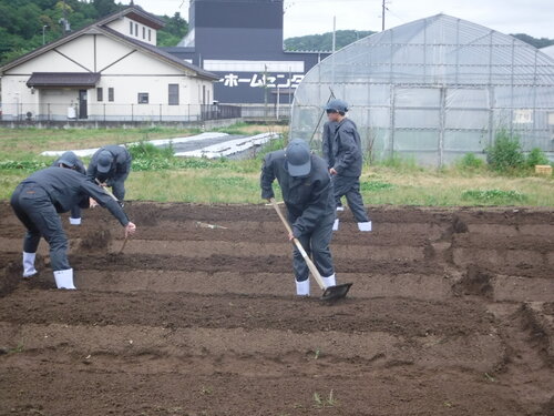 DSCF5536.JPG