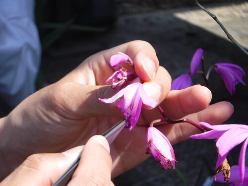 DSCF5567.JPG