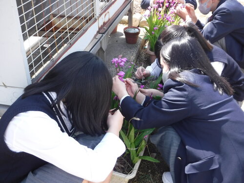DSCF5568.JPG