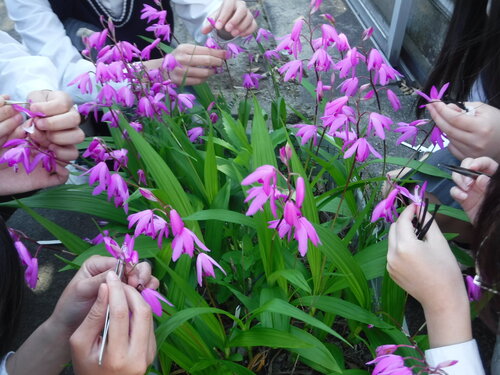 DSCF5570.JPG