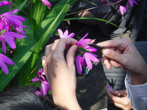 DSCF5573.JPG
