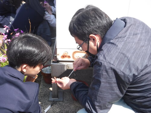 DSCF5580.JPG