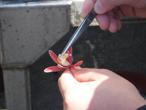 DSCF5581.JPG
