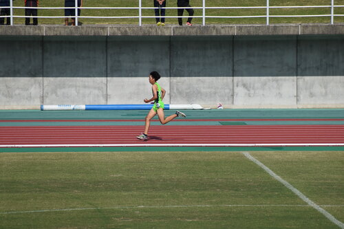 DSC_0723.JPG