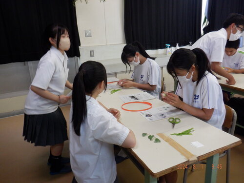 DSCF4110.JPG