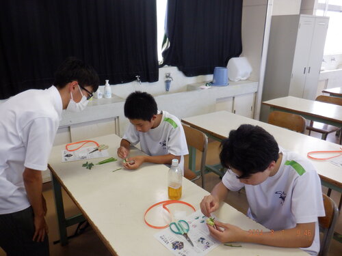 DSCF4111.JPG