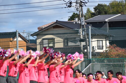 DSC_0155.JPG