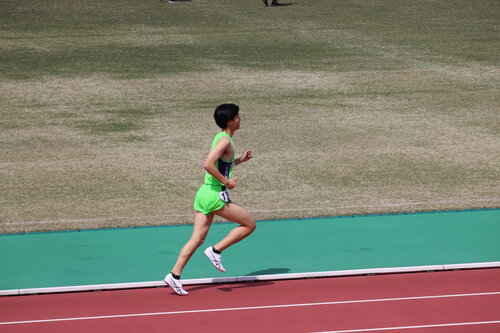 IMG_7815.JPG