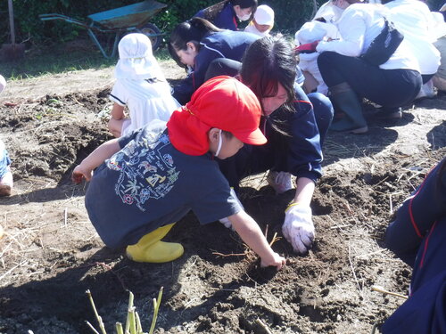 DSCF0509.JPG
