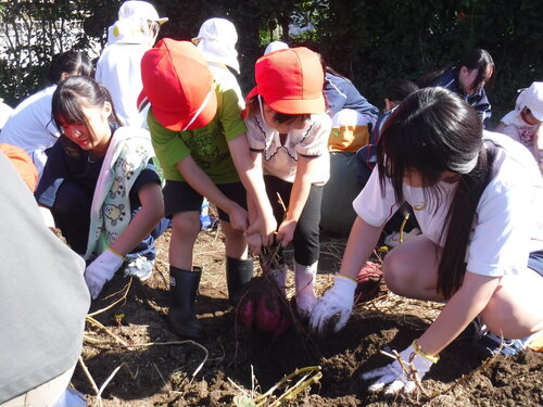 DSCF0510.JPG