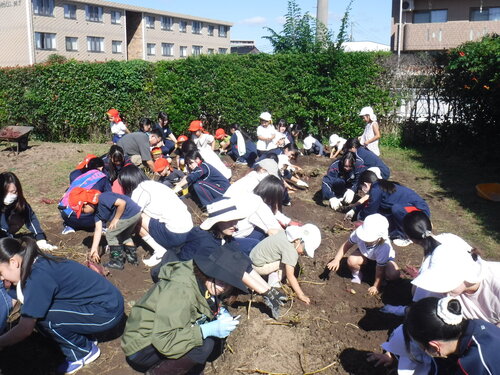 DSCF0513.JPG