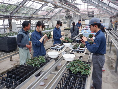 DSCF3298.JPG