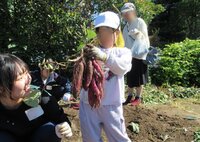 IMG_9075.JPG
