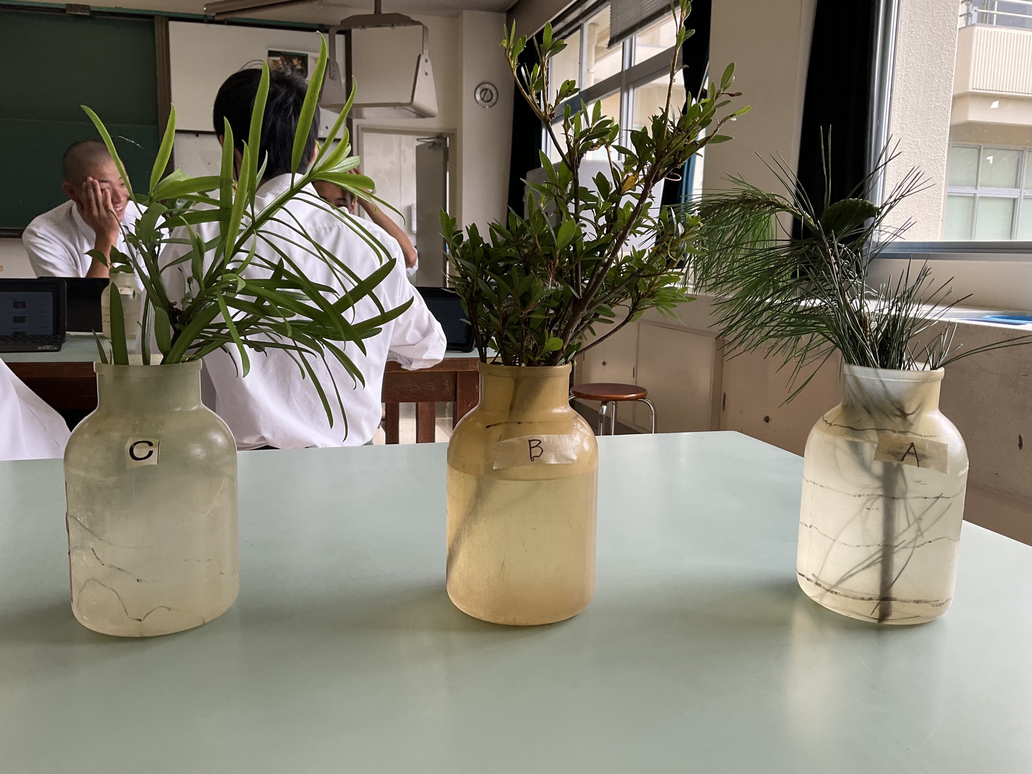 image_50399233.JPG